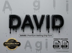 Font Designer David Font's Usable Typography Projects